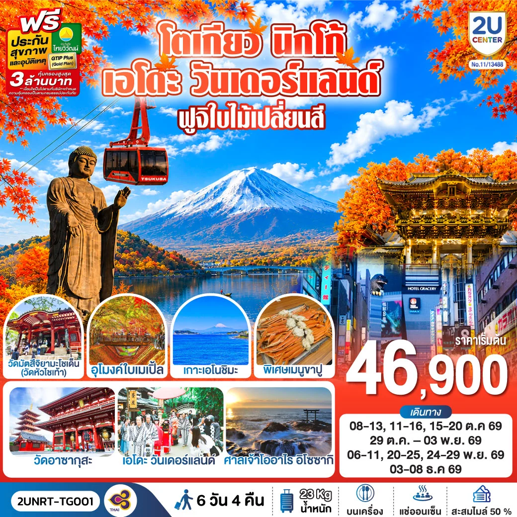 ทัวร์ญี่ปุ่น โตเกียว นิกโก้ เอโดะ วันเดอร์แลนด์ ฟูจิเปลี่ยนสี 6วัน 3คืน (TG)